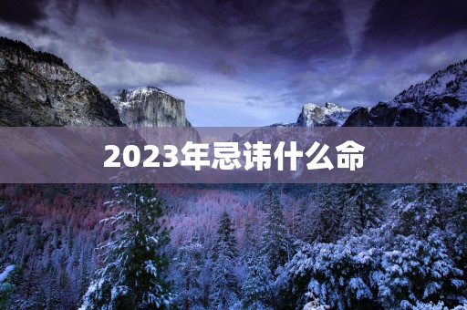 2025年忌讳什么命