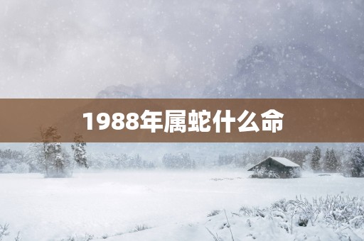 1988年属蛇什么命