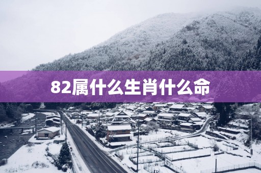 82属什么生肖什么命