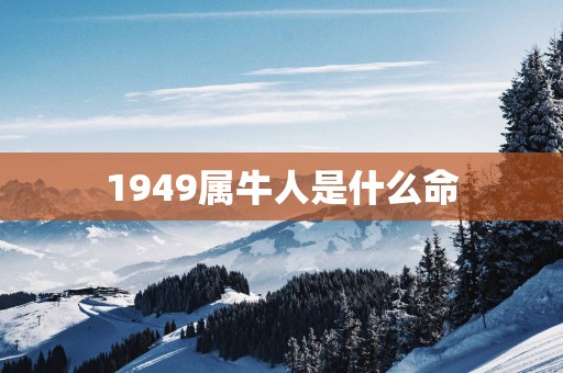 1949属牛人是什么命