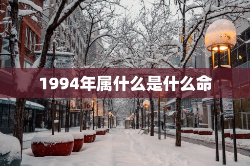 1994年属什么是什么命