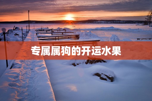 专属属狗的开运水果