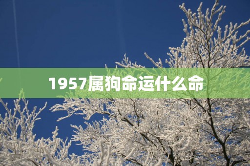 1957属狗命运什么命