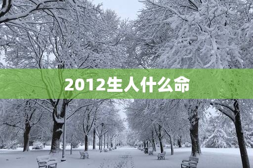 2012生人什么命