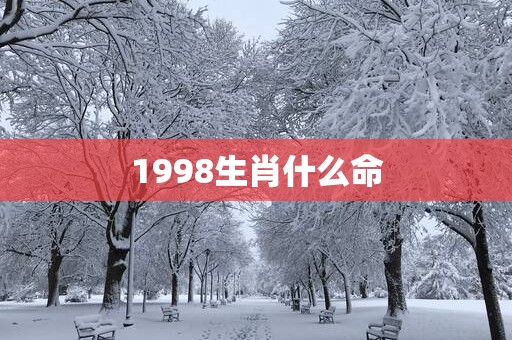 1998生肖什么命