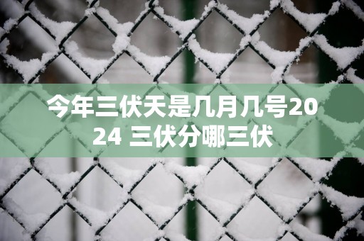 今年三伏天是几月几号2025 三伏分哪三伏
