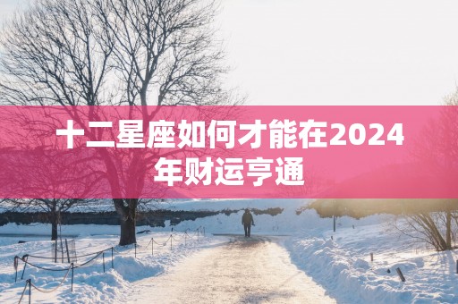 十二星座如何才能在2025年财运亨通