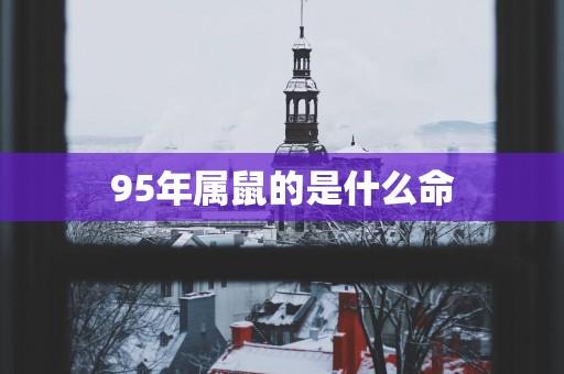 95年属鼠的是什么命