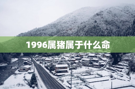 1996属猪属于什么命