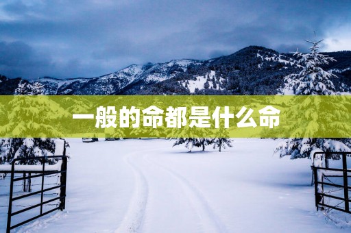 一般的命都是什么命