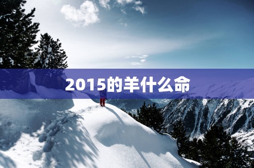 2015的羊什么命