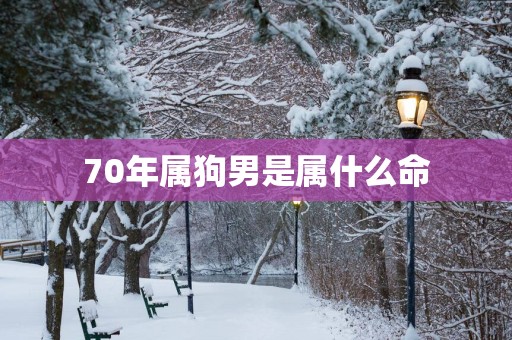 70年属狗男是属什么命