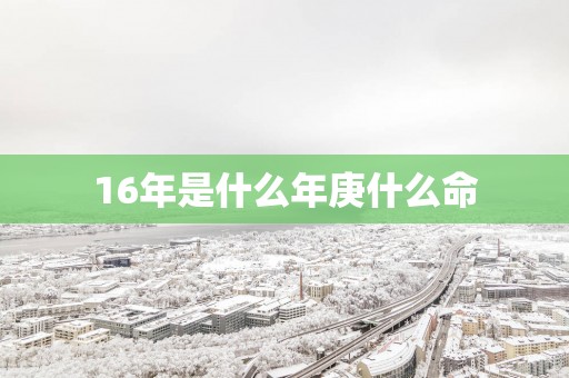16年是什么年庚什么命