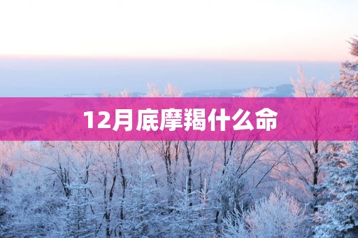 12月底摩羯什么命