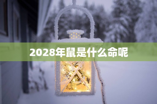 2028年鼠是什么命呢