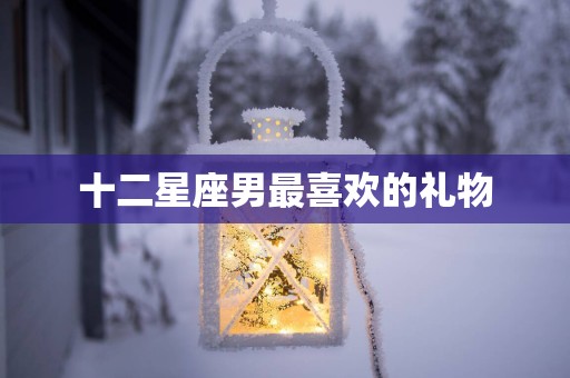 十二星座男最喜欢的礼物