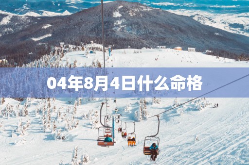 04年8月4日什么命格