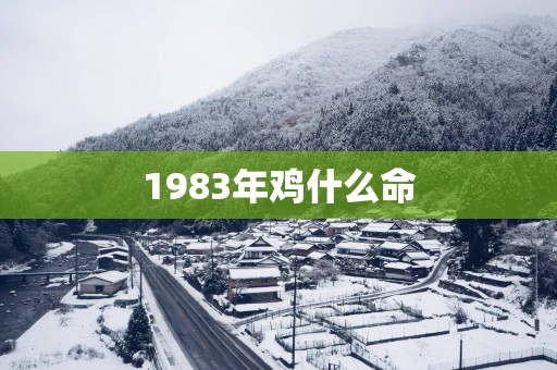 1983年鸡什么命