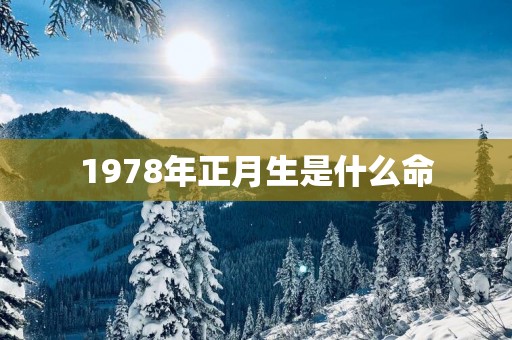 1978年正月生是什么命