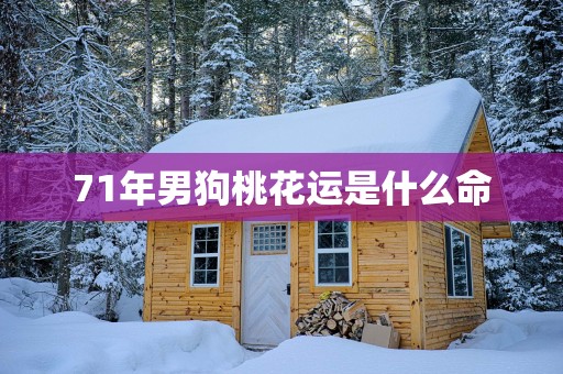 71年男狗桃花运是什么命