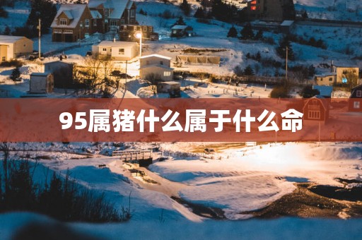 95属猪什么属于什么命
