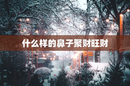 什么样的鼻子聚财旺财