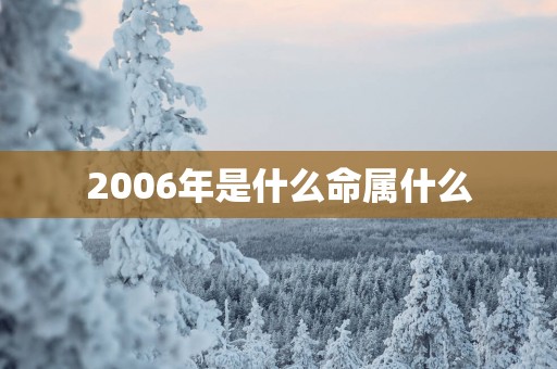 2006年是什么命属什么