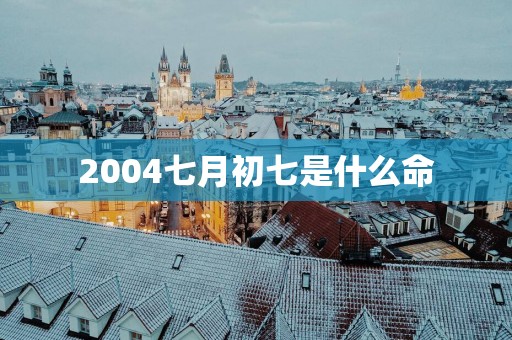 2004七月初七是什么命