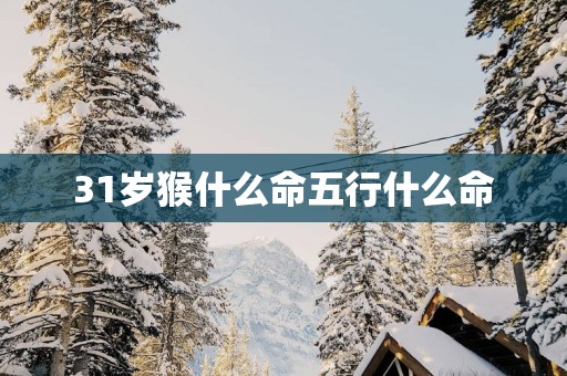 31岁猴什么命五行什么命
