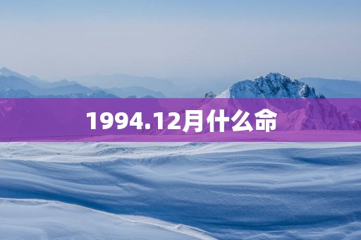 1994.12月什么命