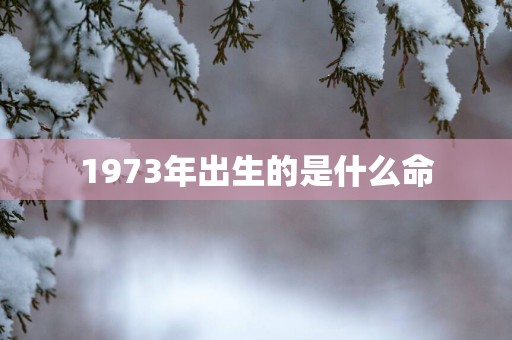 1973年出生的是什么命