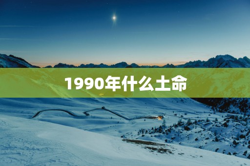 1990年什么土命