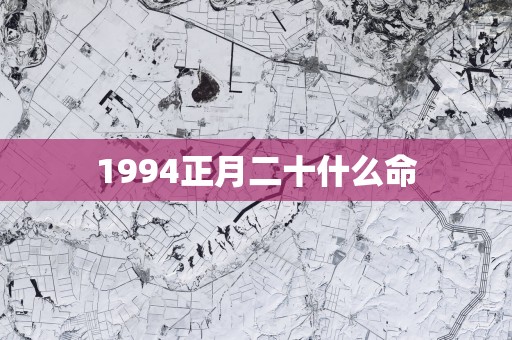 1994正月二十什么命