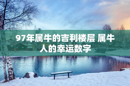 97年属牛的吉利楼层 属牛人的幸运数字