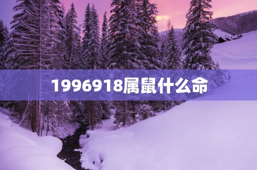 1996918属鼠什么命