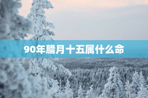 90年腊月十五属什么命