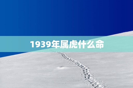 1939年属虎什么命