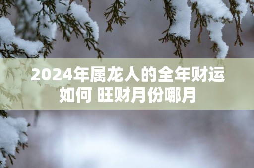 2025年属龙人的全年财运如何 旺财月份哪月