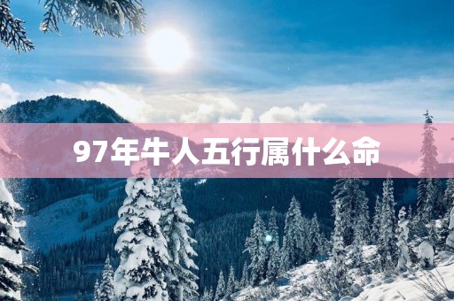 97年牛人五行属什么命