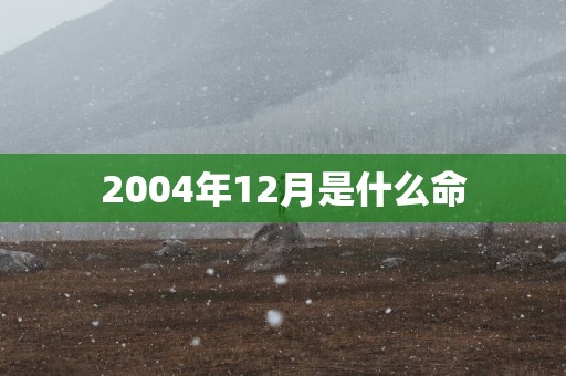 2004年12月是什么命