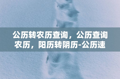 公历转农历查询，公历查询农历，阳历转阴历-公历速查农历转换器