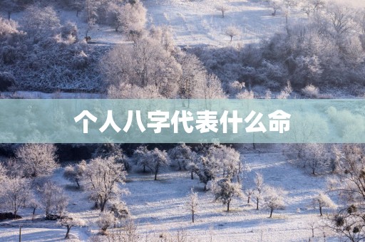 个人八字代表什么命