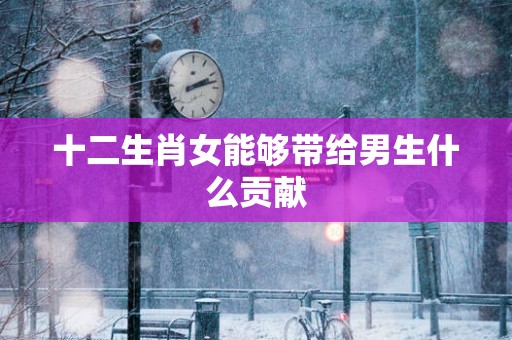 十二生肖女能够带给男生什么贡献