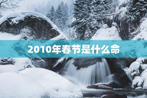 2010年春节是什么命