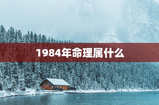1984年命理属什么