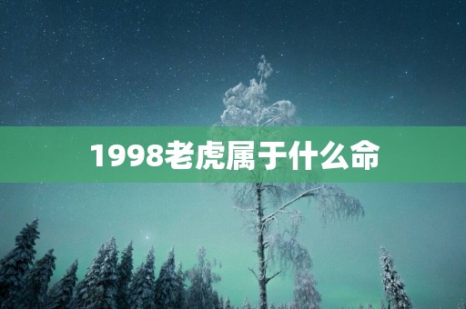 1998老虎属于什么命