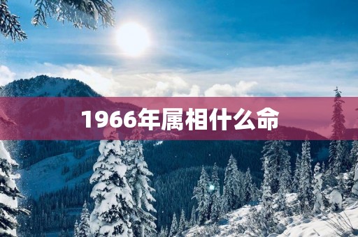 1966年属相什么命