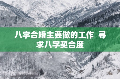 八字合婚主要做的工作  寻求八字契合度