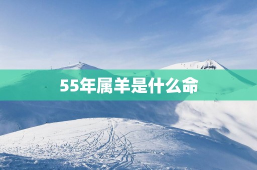 55年属羊是什么命