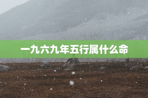 一九六九年五行属什么命